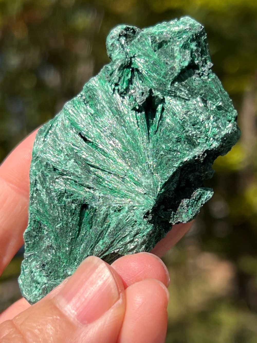Malachite (14) specimen with stand | crystal